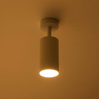 Minimalist Adjustable Spotlight