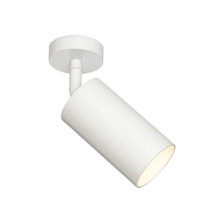 Minimalist Adjustable Spotlight