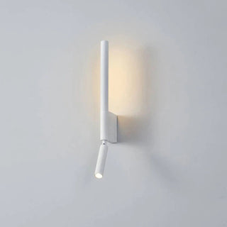 Adjustable Rotating LED Wall Light