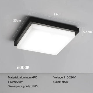 Modern Black LED Flush Mount Ceiling Light